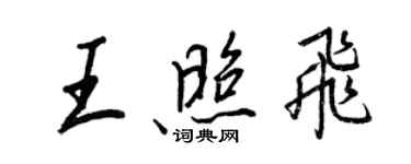 王正良王照飛行書個性簽名怎么寫