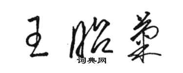 駱恆光王昭菊草書個性簽名怎么寫