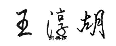 駱恆光王淳胡行書個性簽名怎么寫