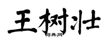 翁闓運王樹壯楷書個性簽名怎么寫