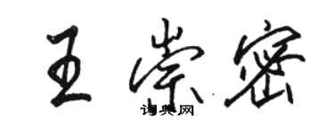 駱恆光王崇密行書個性簽名怎么寫