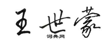 駱恆光王世蒙行書個性簽名怎么寫