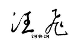 梁錦英汪飛草書個性簽名怎么寫