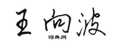 駱恆光王向波行書個性簽名怎么寫