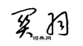 梁錦英關羽草書個性簽名怎么寫