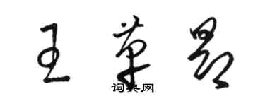 駱恆光王革昂草書個性簽名怎么寫