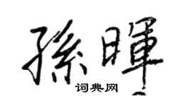 王正良孫暉行書個性簽名怎么寫