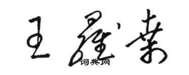 駱恆光王羅桑草書個性簽名怎么寫