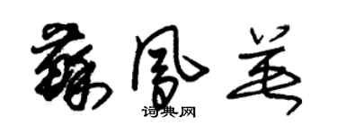朱錫榮蘇鳳英草書個性簽名怎么寫
