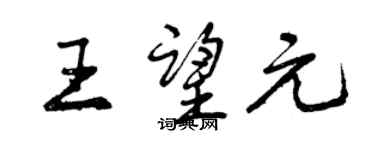 曾慶福王望元行書個性簽名怎么寫