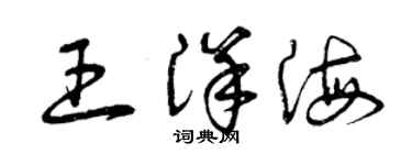 曾慶福王洋海草書個性簽名怎么寫