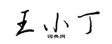 王正良王小丁行書個性簽名怎么寫