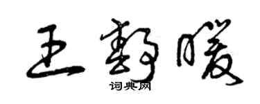 曾慶福王靜暖草書個性簽名怎么寫