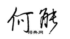 王正良何能行書個性簽名怎么寫