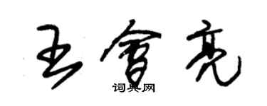 朱錫榮王會亮草書個性簽名怎么寫