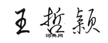 駱恆光王哲穎行書個性簽名怎么寫