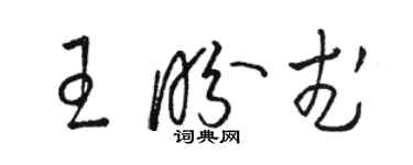 駱恆光王盼武草書個性簽名怎么寫