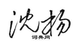 駱恆光沈楊草書個性簽名怎么寫