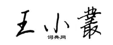 王正良王小叢行書個性簽名怎么寫