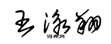 朱錫榮王泳翔草書個性簽名怎么寫
