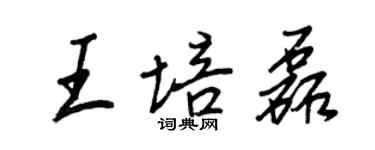 王正良王培磊行書個性簽名怎么寫