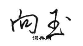 駱恆光向玉行書個性簽名怎么寫