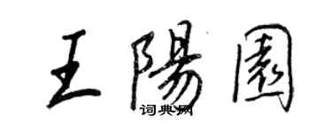 王正良王陽園行書個性簽名怎么寫