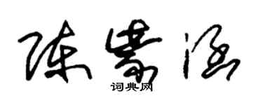 朱錫榮陳紫涵草書個性簽名怎么寫