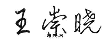 駱恆光王崇曉行書個性簽名怎么寫