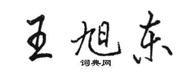 駱恆光王旭東行書個性簽名怎么寫