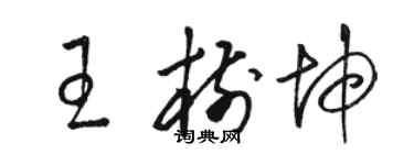 駱恆光王樹坤草書個性簽名怎么寫