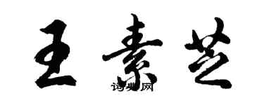 胡問遂王素芝行書個性簽名怎么寫