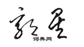 駱恆光郭星草書個性簽名怎么寫