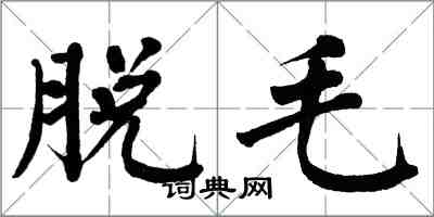 翁闓運脫毛楷書怎么寫