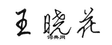 駱恆光王曉花行書個性簽名怎么寫