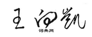 駱恆光王向凱草書個性簽名怎么寫