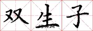 丁謙雙生子楷書怎么寫