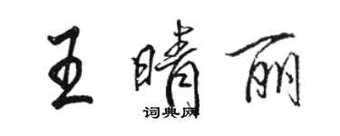 駱恆光王晴麗行書個性簽名怎么寫