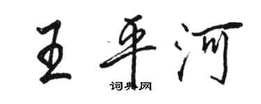 駱恆光王平河行書個性簽名怎么寫