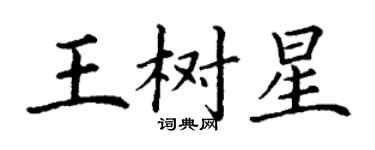 丁謙王樹星楷書個性簽名怎么寫