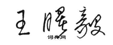 駱恆光王曙毅草書個性簽名怎么寫