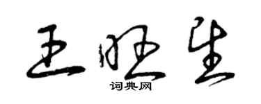 曾慶福王旺望草書個性簽名怎么寫