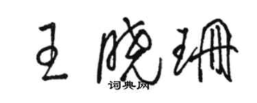 駱恆光王曉珊草書個性簽名怎么寫