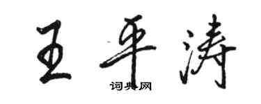 駱恆光王平濤行書個性簽名怎么寫