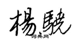 王正良楊驍行書個性簽名怎么寫