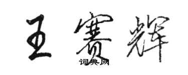 駱恆光王賽輝行書個性簽名怎么寫