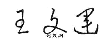 駱恆光王文運草書個性簽名怎么寫