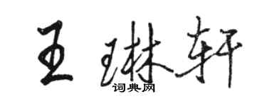 駱恆光王琳軒行書個性簽名怎么寫