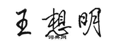 駱恆光王想明行書個性簽名怎么寫