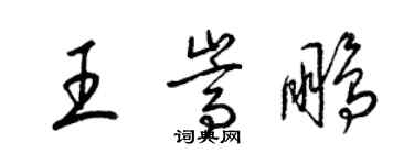 梁錦英王嵩鵬草書個性簽名怎么寫